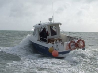 Out for a quick spin